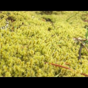 Meet your Posher, Ryann